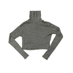 ZARA Gray Longsleeve Ribbed Cropped Turtleneck